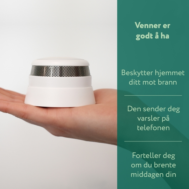 Frient smoke alarm in a hand